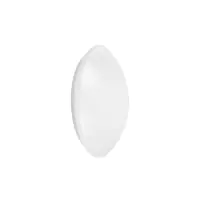 Ledvance Surface Circolare 250 13W 830 920lm Bianca IP44 | Luce Calda