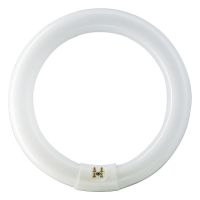 Osram T9 Lumilux Circline 32W - 840 Bianco Freddo | 30cm