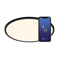 Nordlux Oja Smart 29 Luce da soffitto Metallo Nero 15W 1600lm - 827-865 Regolabile Bianca | 294mm - Wifi e Blutooth Dimmerabile
