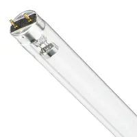 Philips T8 UV - C 17W - Ultravioletto | 60cm