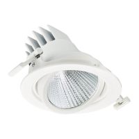 Philips Faretti LED LuxSpace Accent Performance RS781B 50W 6000lm 36D - 830 Luce Calda -  | 170mm 