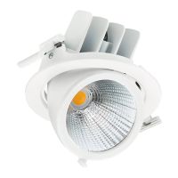 Philips Faretti LED LuxSpace Accent Performance RS782B 31.5W 2700lm 36D - 930 Luce Calda -  | 167mm - Miglior Resa Cromatica