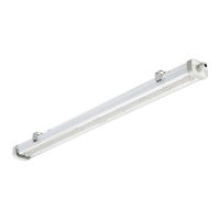Philips Stagna LED Pacific WT490C 62W 10000lm - 840 Bianco Freddo | 180cm - Dali Dimmerabile 
